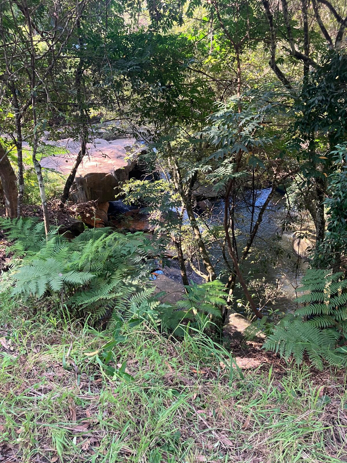 Wilsons Creek 18 3 26