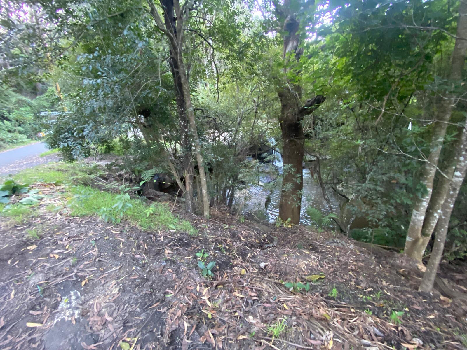 Wilsons Creek 19 5 24