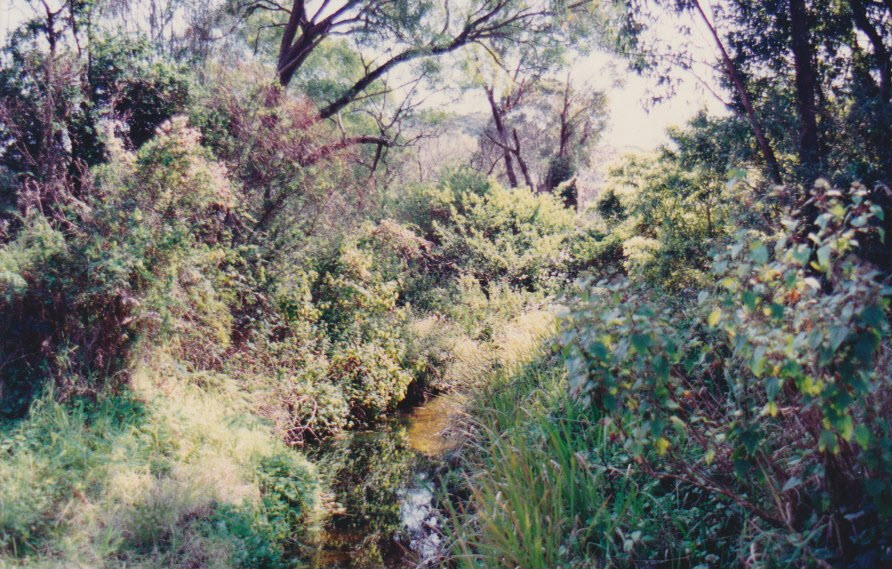 Helensburgh Creek 1993